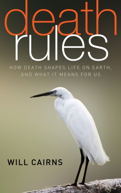 E-knjiga Death Rules Will Cairns