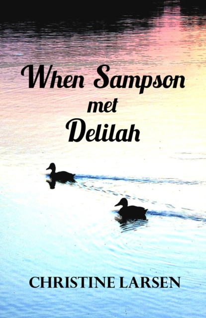 E-kniha When Sampson met Delilah Christine Larsen