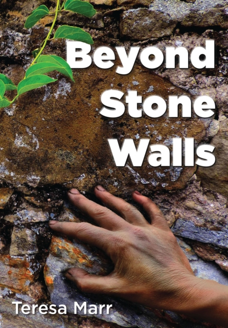 E-Book Beyond Stone Walls Teresa Marr