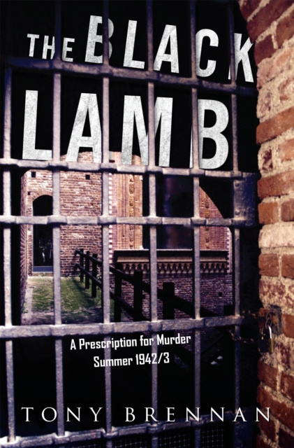 E-book Black Lamb Tony Brennan