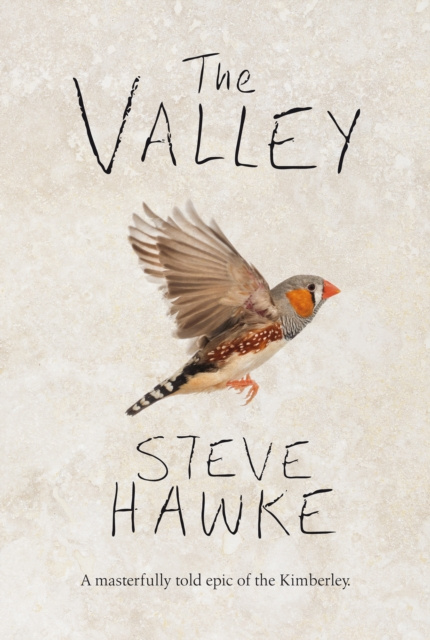 E-book Valley Steve Hawke