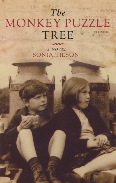 E-book Monkey Puzzle Tree Sonia Tilson