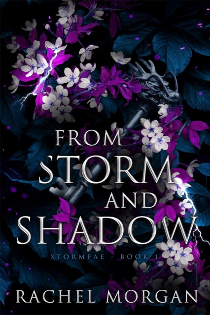 E-book From Storm and Shadow Rachel Morgan