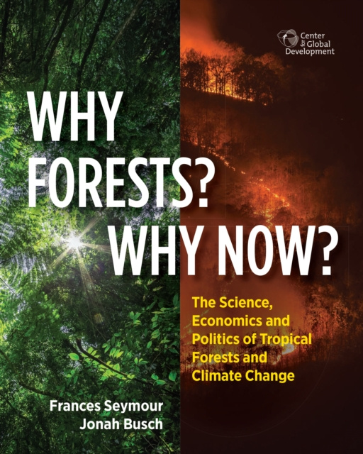 E-Book Why Forests? Why Now? Frances Seymour