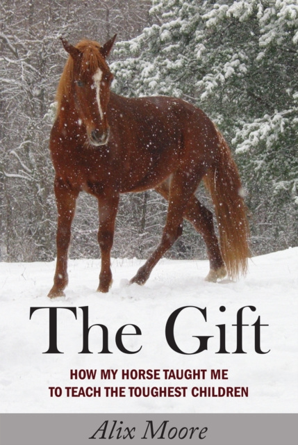 E-knjiga Gift Alix Moore