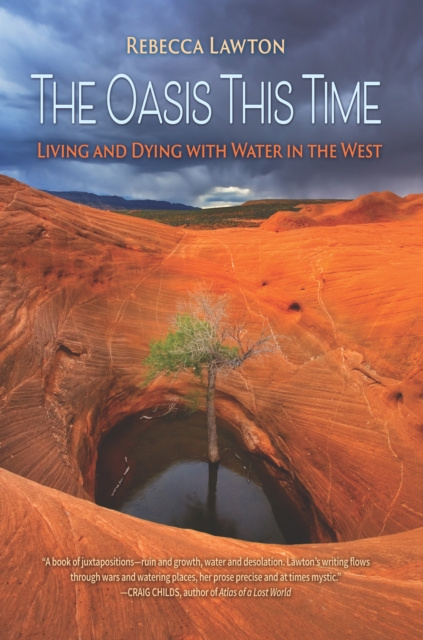 E-book Oasis This Time Rebecca Lawton