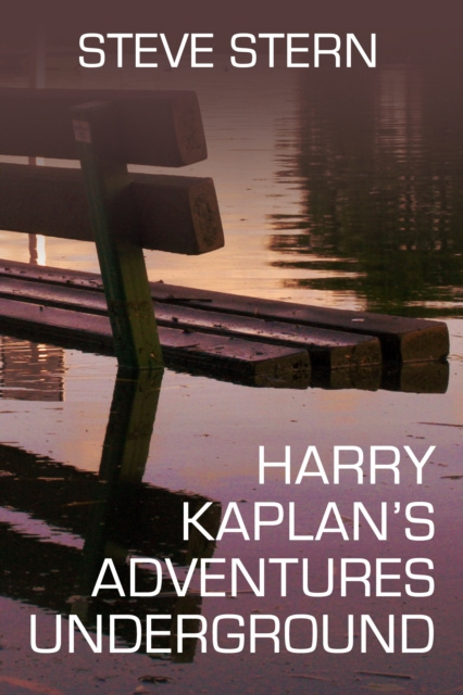 E-kniha Harry Kaplan's Adventures Underground Steve Stern