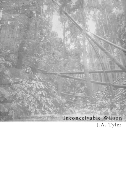 E-book Inconceivable Wilson Jason Tyler