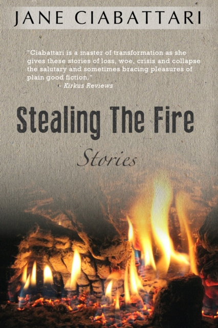E-knjiga Stealing the Fire Jane Ciabattari