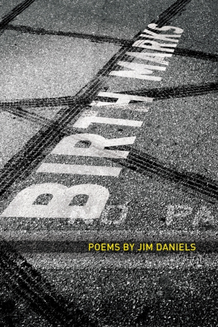 E-book Birth Marks Jim Daniels