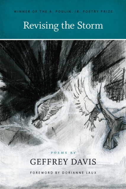 E-knjiga Revising the Storm Geffrey