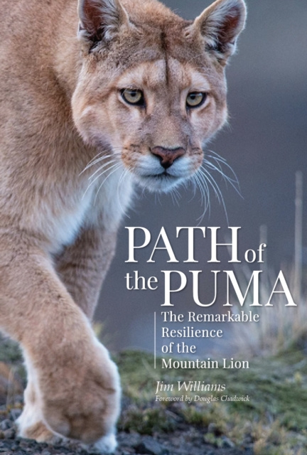 E-kniha Path of the Puma Jim Williams