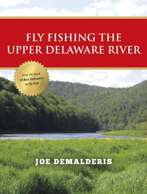 E-Book Fly Fishing the Upper Delaware River Joe Demalderis