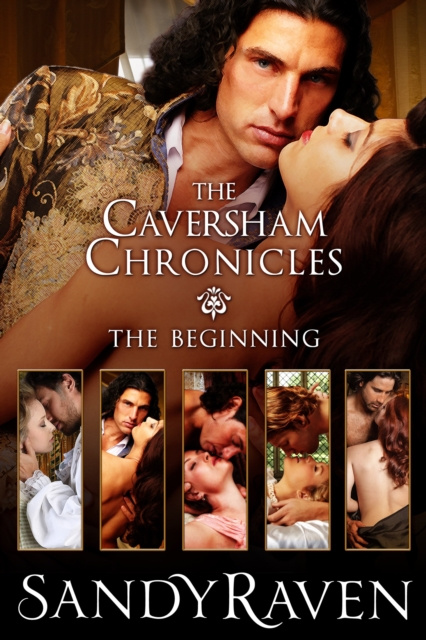 E-knjiga Caversham Chronicles ~ the Beginning Sandy Raven