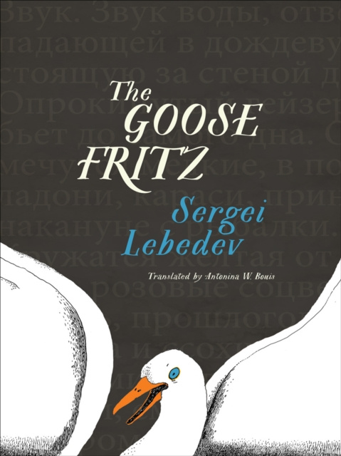 E-kniha Goose Fritz Sergei Lebedev
