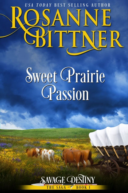 E-book Sweet Prairie Passion Rosanne Bittner