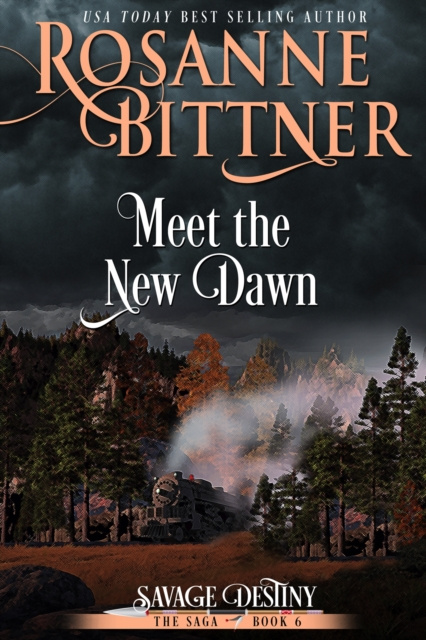 E-book Meet the New Dawn Rosanne Bittner
