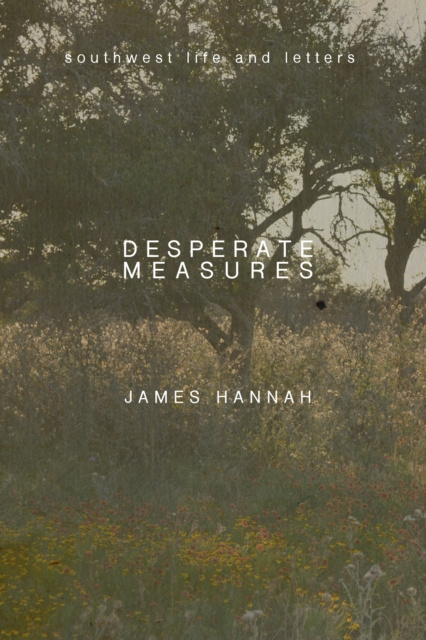 E-kniha Desperate Measures James Hannah