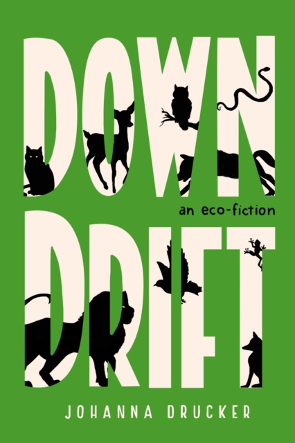 E-Book Downdrift Johanna Drucker