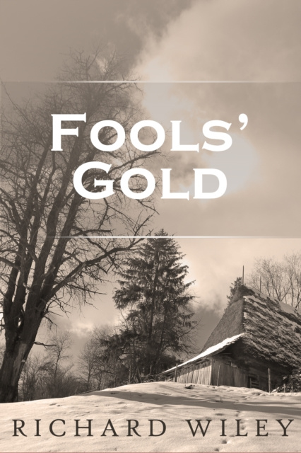 E-book Fools' Gold Richard Wiley