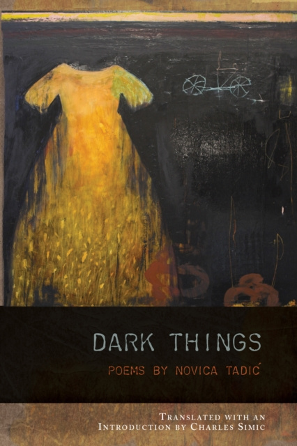 E-knjiga Dark Things Novica Tadic