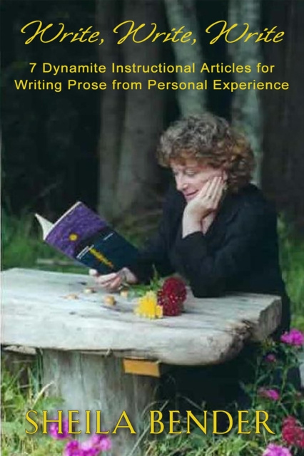 E-knjiga Write, Write, Write Sheila Bender