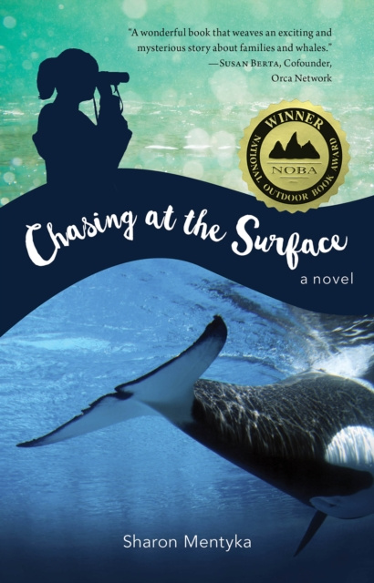 E-book Chasing at the Surface Sharon Mentyka