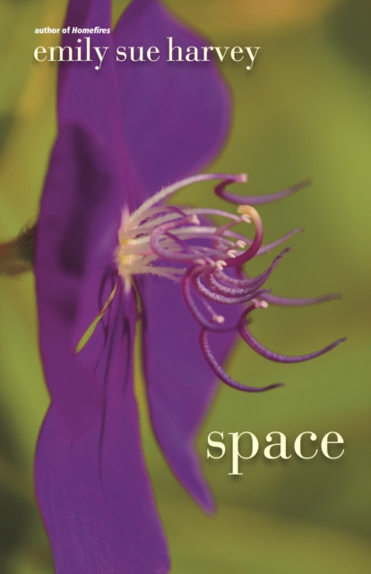 E-knjiga Space Emily Sue Harvey