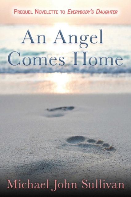 E-book Angel Comes Home Michael John Sullivan