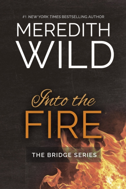 E-knjiga Into the Fire Meredith Wild