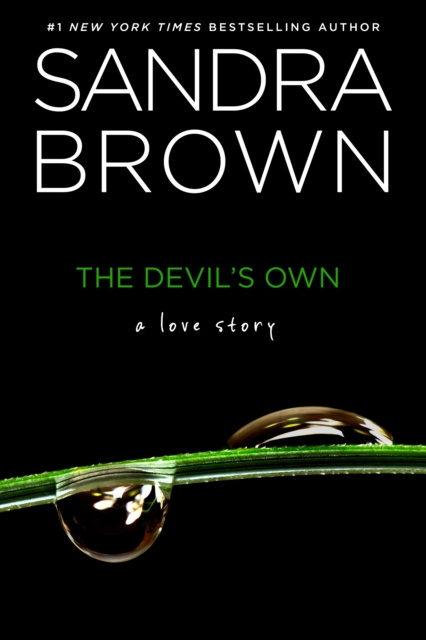 E-knjiga Devil's Own Sandra Brown
