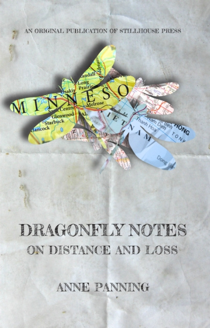 E-knjiga Dragonfly Notes Anne Panning