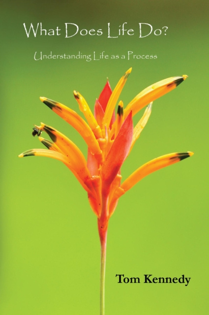 E-Book What Does Life Do? Tom L Kennedy