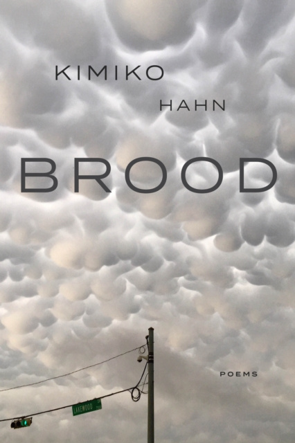 E-book Brood Kimiko Hahn