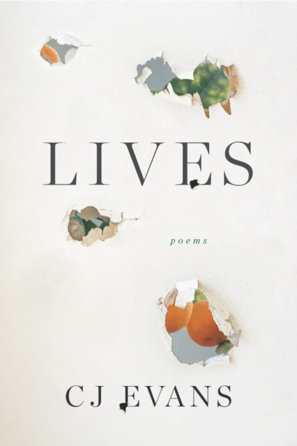 E-book Lives CJ Evans
