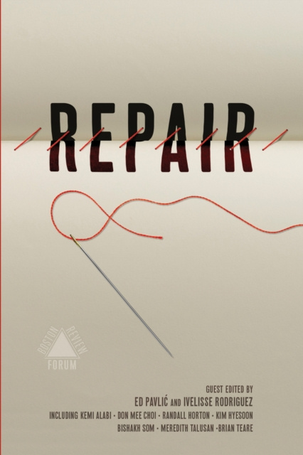E-Book Repair Ed Pavlic