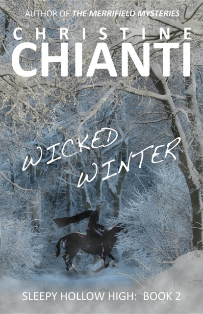 E-knjiga Wicked Winter Christine Chianti