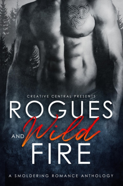 E-book Rogues and Wild Fire Dorothy Tinker