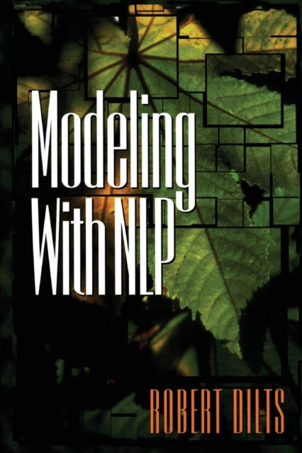 E-book Modeling with NLP Robert Brian Dilts