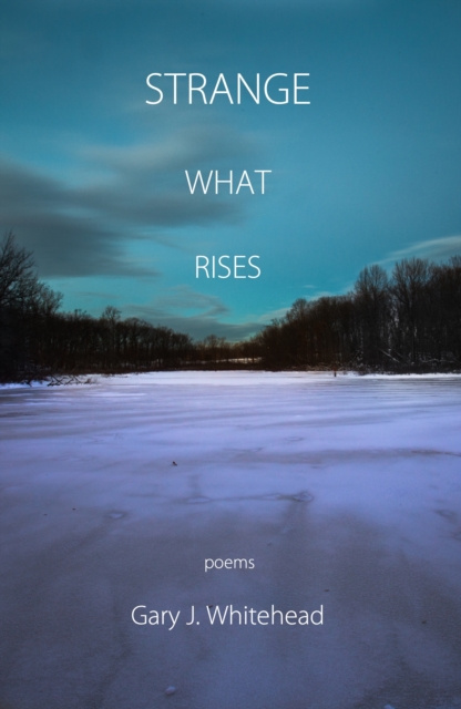 E-book Strange What Rises Gary J. Whitehead