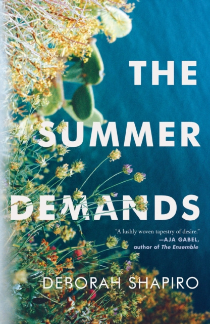 E-knjiga Summer Demands Deborah Shapiro