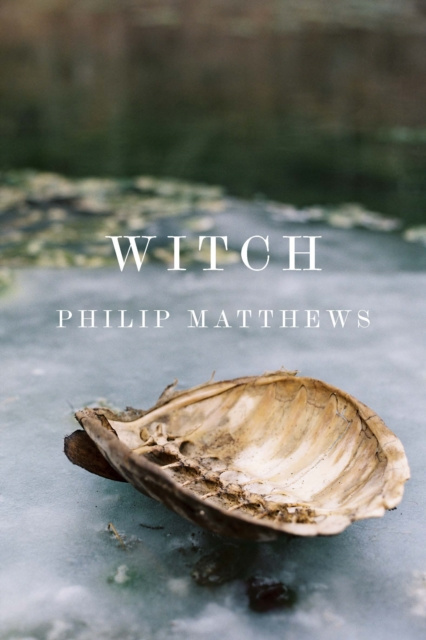 E-knjiga Witch Philip Matthews