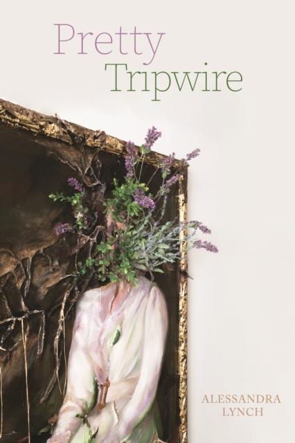 E-knjiga Pretty Tripwire Alessandra Lynch
