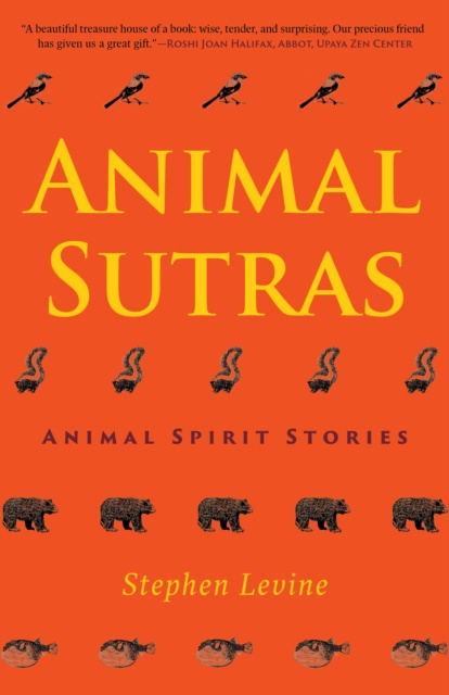 E-kniha Animal Sutras Stephen Levine