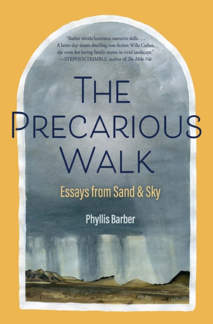 E-kniha Precarious Walk Phyllis Barber