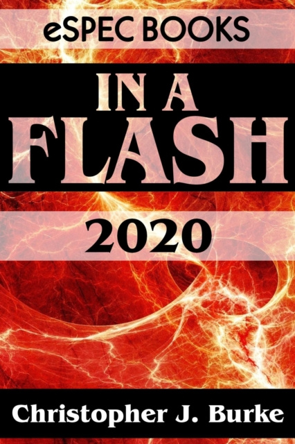 E-knjiga In a Flash 2020 Christopher J. Burke