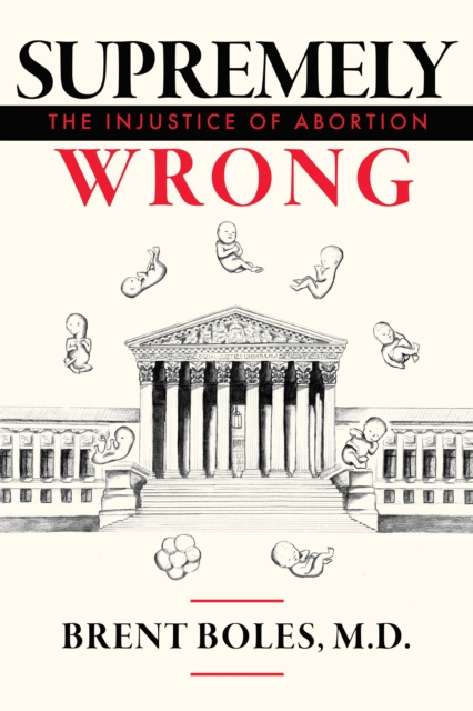 E-knjiga Supremely Wrong Brent Boles