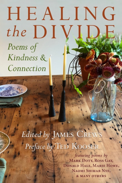 E-knjiga Healing the Divide James Crews