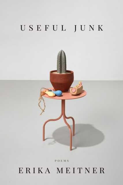 E-knjiga Useful Junk Erika Meitner