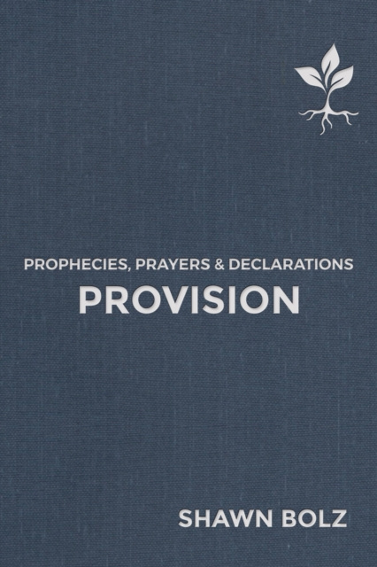 E-knjiga Provision Shawn Bolz